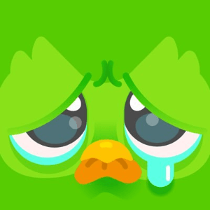 Duolingo Blog